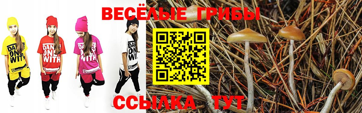 Псилоцибиновые грибы Cubensis Наро-Фоминск
